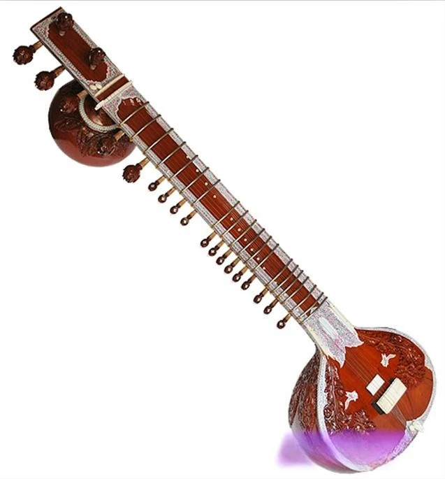 Musical Instrument Sitar - Музыкальные инструменты, ситары, профессиональные жесткие футляры