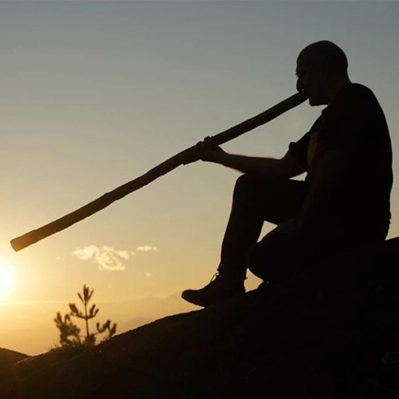 Бамбуковая диджериду, професси – обзор и цена Musical Instrument Didgeridoo