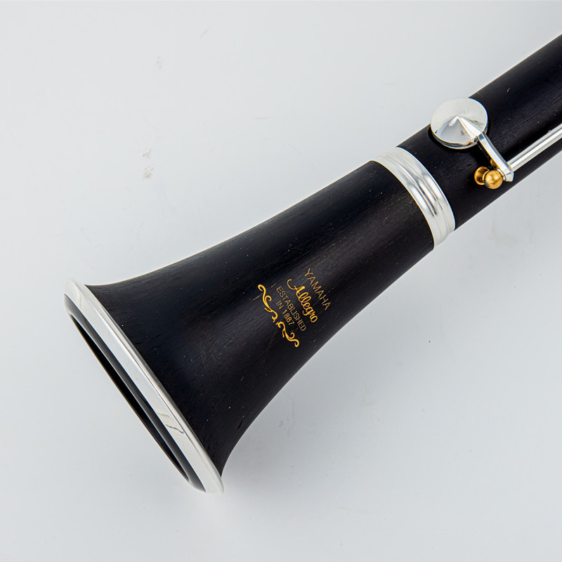 Японский новый профессиональны – обзор и цена Musical Instrument Japan
